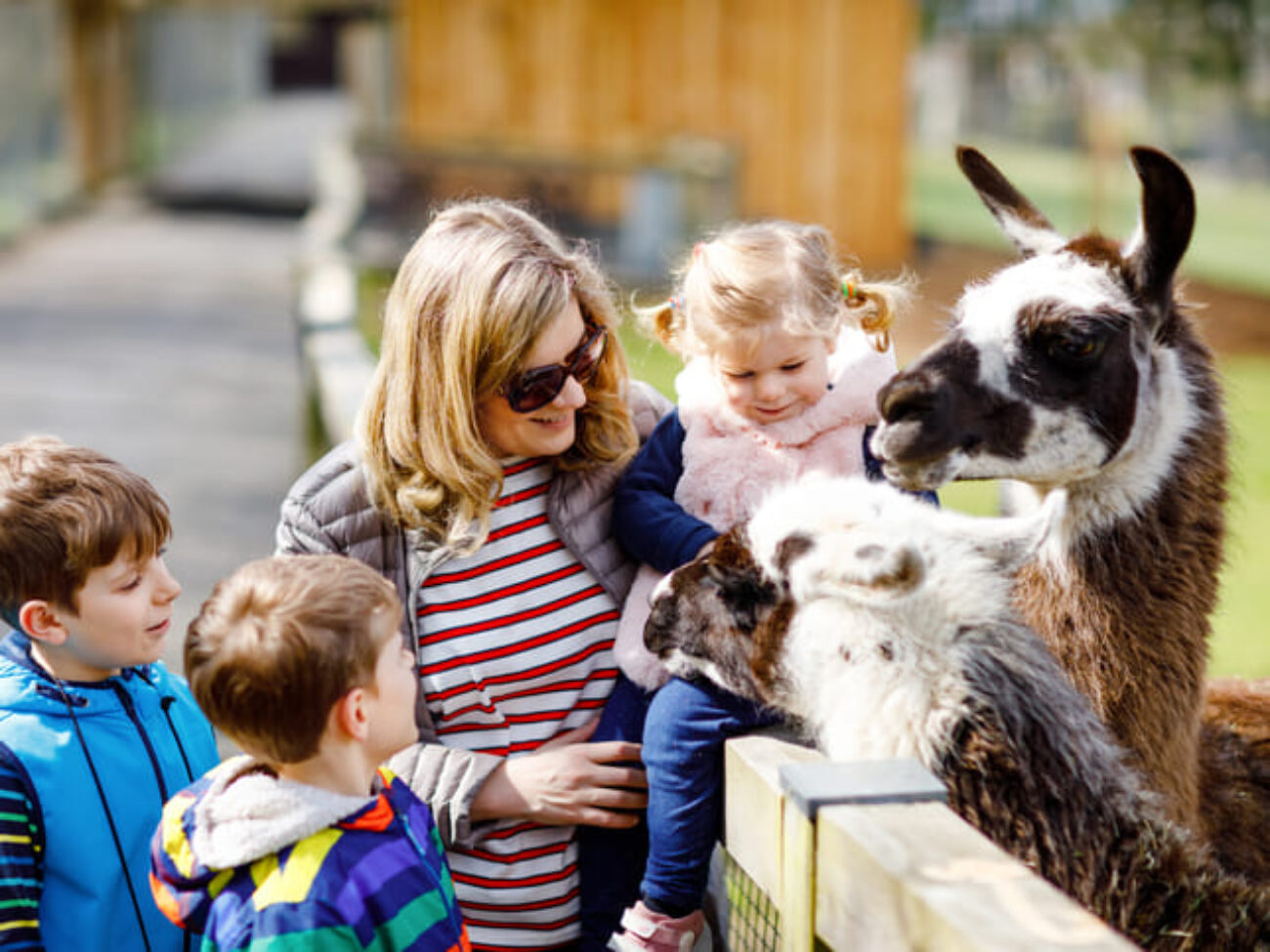 Entdeckt die Wildparks rund um Ravensburg: Naturerlebnisse für die ganze Familie