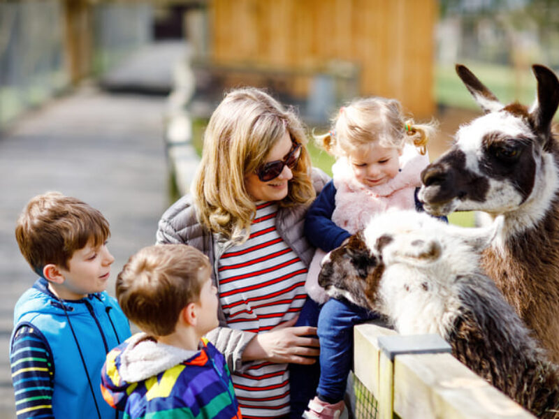 Familie im Tierpark