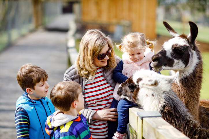 Familie im Tierpark